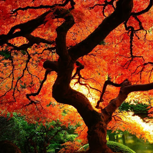 Michael Bowles Photo 30