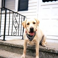 Nancy Teixeira Photo 32