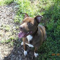 Michelle Land Photo 10