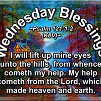 Elizabeth Dore Photo 19