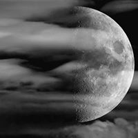 Cassandra Palmer Photo 3