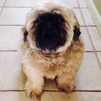 Todd Summers Photo 28