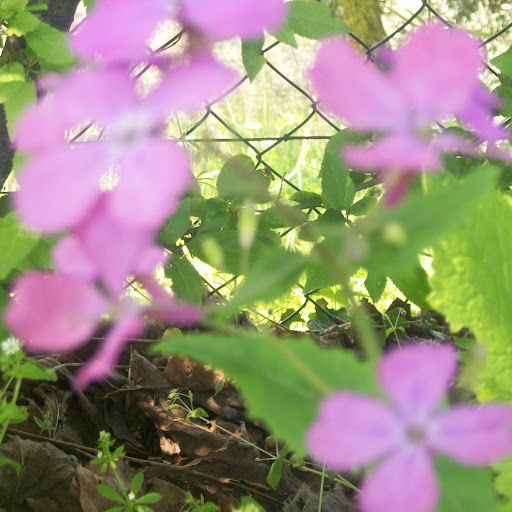 Marilyn Garrett Photo 19