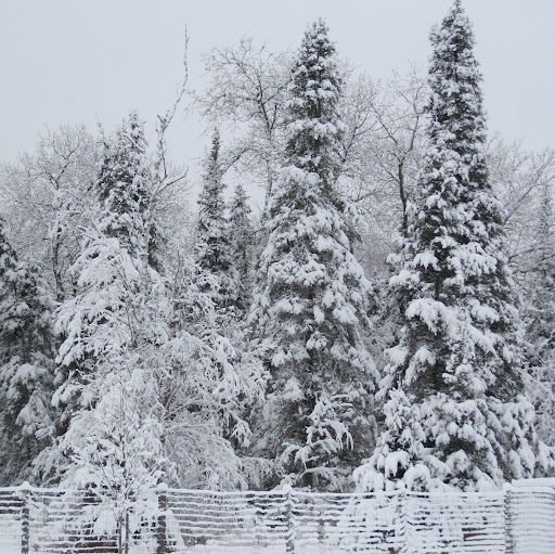 Rachel Doherty Photo 9