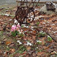 Patricia Thibodeau Photo 16