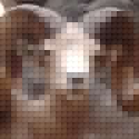 Johnny Jordan Photo 12