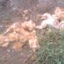 Jessica Obar Photo 1