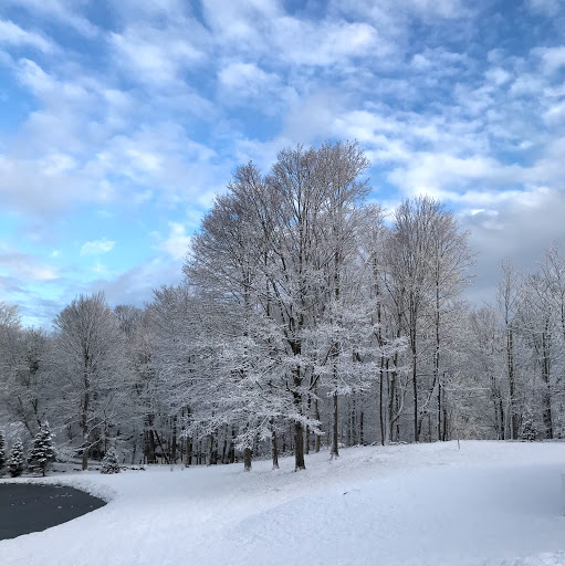 Andrew Foote Photo 38