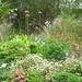 Ruth Davis Photo 35