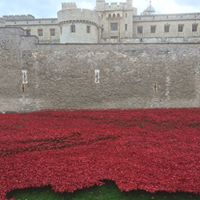 Victoria Driver Photo 2