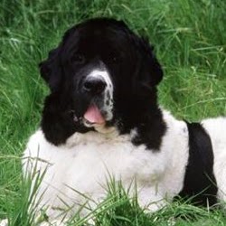 Kathleen Coombs Photo 18