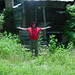 William Braswell Photo 32