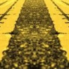 Robin Doran Photo 23