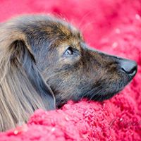 Judy Fleming Photo 22