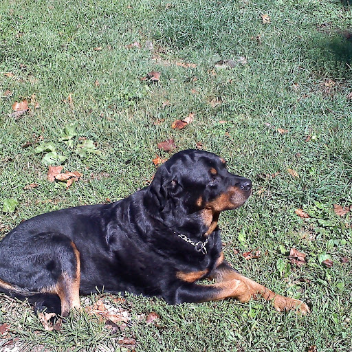 Kim Shaffer Photo 41