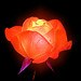 Judy Rose Photo 6