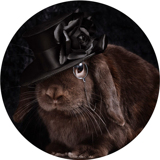 Angie Connell Photo 6