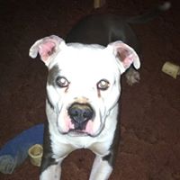 Donna Tew Photo 18