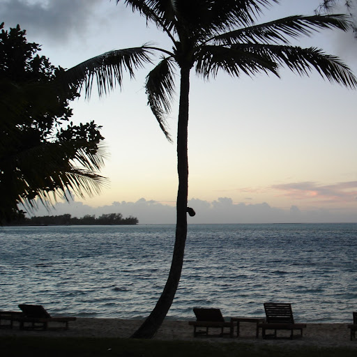 Melanie Kent Photo 36