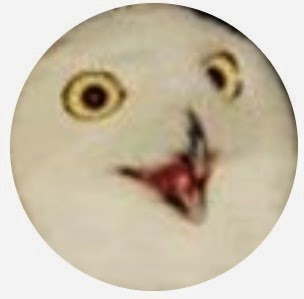 Jeffrey Mccain Photo 27