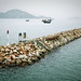 Kevin Cheung Photo 34
