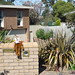 Michelle Scully Photo 32