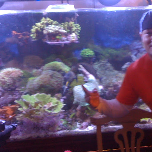 Mark Krieger Photo 37 Mark Krieger Photo 37