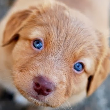 Mikhail Furman Photo 9