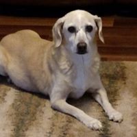 George Redding Photo 17