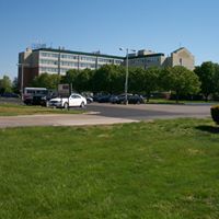 Stacey Simms Photo 10