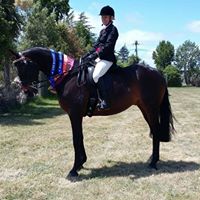 Tracy Hurley Photo 21