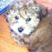 Nancy Coburn Photo 15