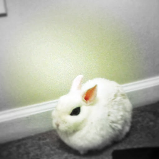 Hannah Phillips Photo 15