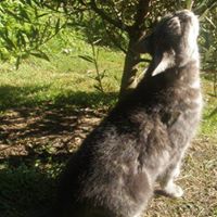 Charlotte Welsh Photo 29