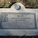 Elizabeth Atkinson Photo 43