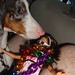 Teresa Carlisle Photo 11