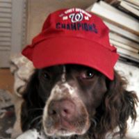 Richard Hoppe Photo 19