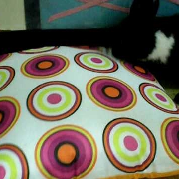 Nicki Lee Photo 14 Nicki Lee Photo 14