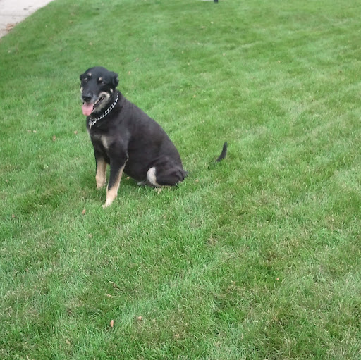 Peter Walters Photo 38