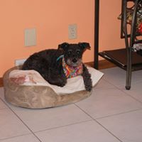 Ellen Atkins Photo 23