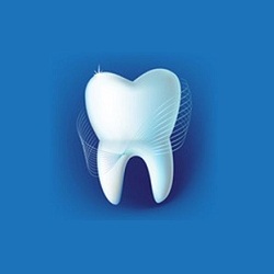 Susan Levine Photo 41