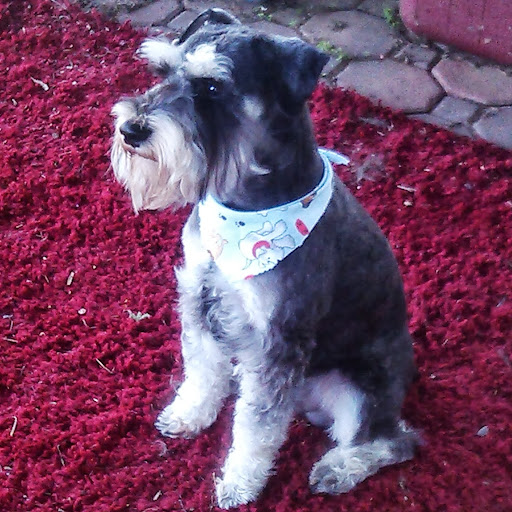 Jonathan Trimble Photo 23