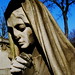 Jose Cardenas Photo 18