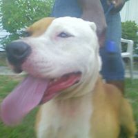 Darryl Womack Photo 14