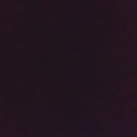 Allen Morgan Photo 7