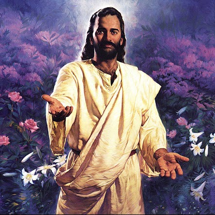 Sue Gilmore Photo 16