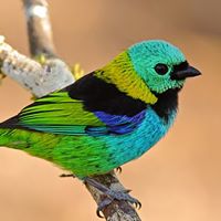 Arleen Ruiz Photo 14