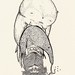 Laurie Crow Photo 22