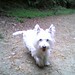 Stuart Sharp Photo 9