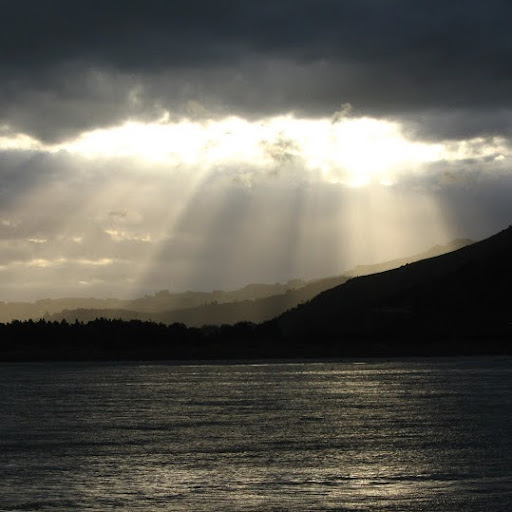 Debra Andersen Photo 9